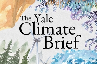 Yale Climate Brief Logo 